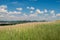 A hill covered with lots of greenery on a warm summer day. A beautiful sky covered with clouds. In the distance there is a forest