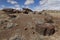 Hill covered in small and large chunks of petrified wood at the southern part of Petrified Forest National Park