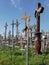 The Hill of the Crosses is an inter national pilgrimage site near the city of Siauliai