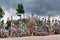 Hill of the Crosses, Lithuania