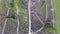 Hill of Crosses, Siauliai. Overhead aerial view in summer season