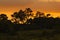 Hill Evergreen Forest,Khao Yai National Park ,Thailand