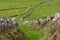 Hill of farm fields in the Corvo island in Azores, Portugal