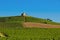 Hill of Fleurie village during, Beaujolais, France