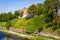 Hill with flowering flowers and trees