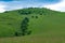 A hill with green trees and meadows, white clouds on blue sky