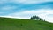 A hill with green trees and meadows, white clouds on blue sky, A