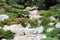 Hill landscaped with various sizes of rocks and a variety of plants in a Japanese Garden in California