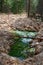 Hill moor with green puddle