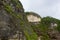 A hill overgrown with wild plants