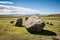 hill pasture adorned with large boulders against the backdrop of a clear blue sky.