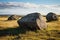 hill pasture adorned with large boulders against the backdrop of a clear blue sky.