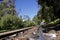 Hill railway station with green trees and train