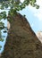 Hill rocks and tree landscape