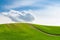 Hill with rows of green spring wheat in Palouse Hills, Washington