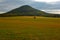 Hill with solitaire tree in meadow. Beautiful landscape. Evening in hills with villages, Czech national Park Ceske Svycarsko, Bohe