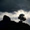 A hill, a stone and a tree against a cloudy sky