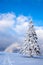 Hill top with heavily snowed trees, Pangarati Peak, Harghita, Transylvania, Romania, Europe