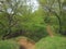 Hill, trees and footpath clay