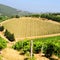 Hill Of Tuscany