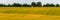 Hill with yellow wheat field and furrows and trees against the sky