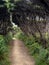 Hillary Trail in Waitakere Ranges regional park