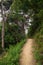 Hillary Trail in Waitakere Ranges regional park