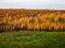 Hills, autumn, forest, horizon, evening, coolness.