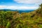 Hills in Cameron highlands, Malaysia