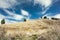 Hills covered with pale yellow grass, Tenerife, Canary Islands, Spain