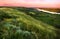 Hills covered with steppe herbs on the river bank