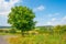 Hills of the Eifel National Park in sunlight