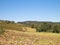 Hills, fields and meadows - typical views of Tuscany.