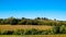 Hills, fields and meadows - typical views of Tuscany