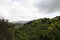 Hills filled with green vegetation and wild flowers on a cloudy day in Orange County