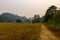 Hills and forest rise up over grassland and dirt footpath in was