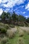 Hills full of trees and vegetation in the Peruvian highlands