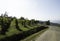 the hills full of vineyards of Santo Stefano Belbo, the area of Muscat wine in Piedmont