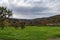 Hills and meadows near by the colorful forest