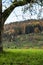 Hills and meadows near by the colorful forest