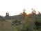 Hills and mountain range,trees greenery landscape view