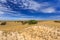 Hills of quartz sand with dry grass, scattered trees and shrubs and veil clouds