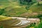 Hills of rice terraced fields