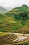 Hills of rice terraced fields