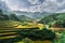 Hills of rice terraces with mountains and clouds at background