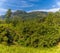 Hills rise above the upland tea country in Sri Lanka, Asia