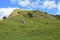 Hills and rocks in Whangarei Heads