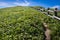 Hills of Sasa Bamboo Grass, Momoiwa Observation Course Hiking Tr