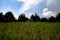 Hills and trees and fields and clouds in upstate NY