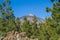 Hills and trees at Tenerife. Spain.